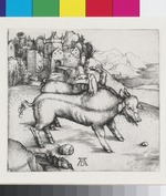 Die Missgeburt eines Schweines (Die wunderbare Sau von Landser)