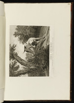 Ein Hund erspäht einen Fasan