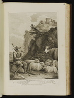 Der zufriedene Hirte