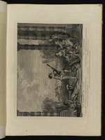 Der Charme des Lebens