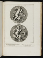 Zwei Medaillons mit Putten auf Delphinen, nach rechts gewandt