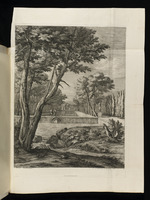 Garten mit zwei Männern bei einem Bassin